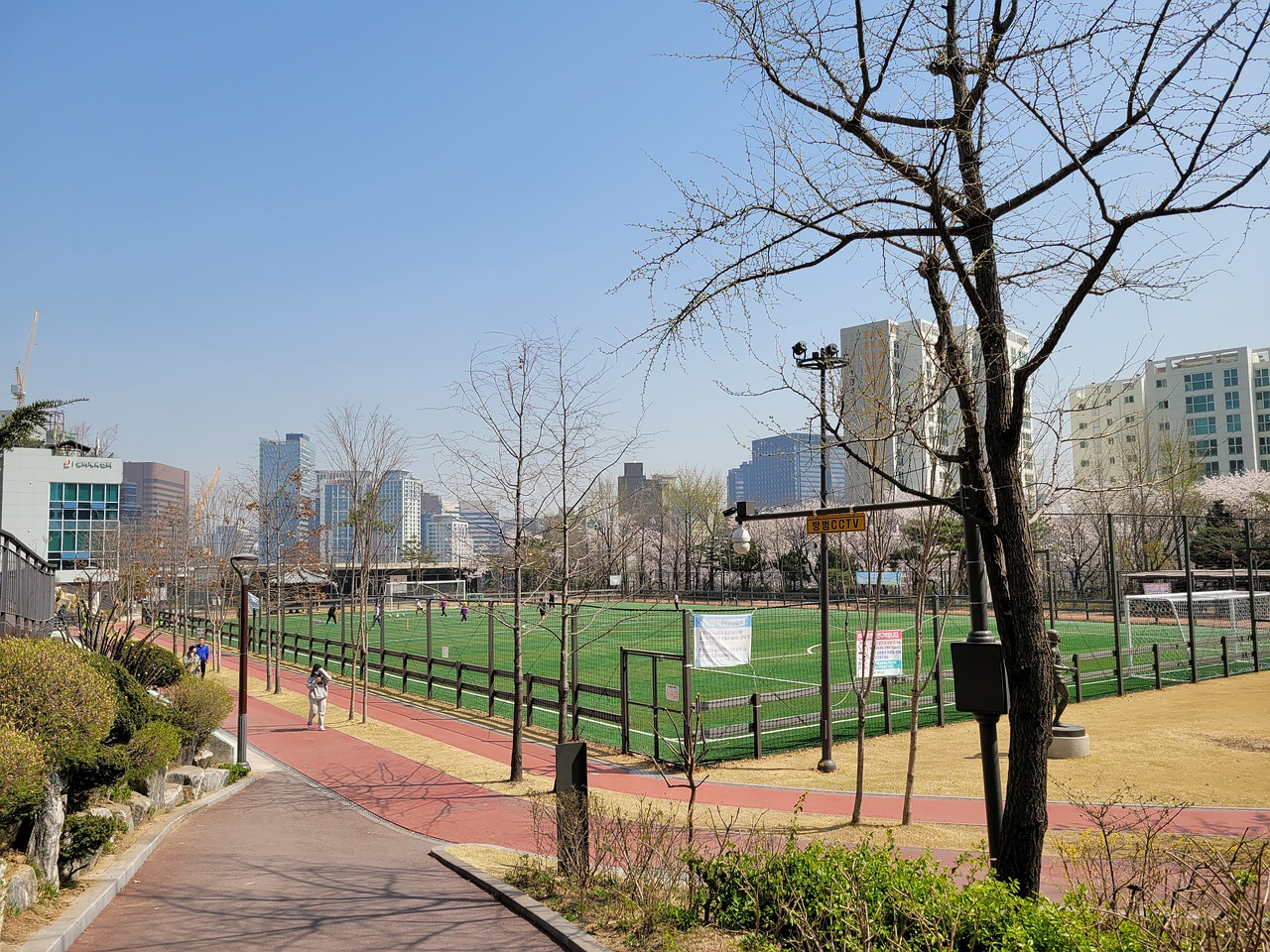 地展现出自
