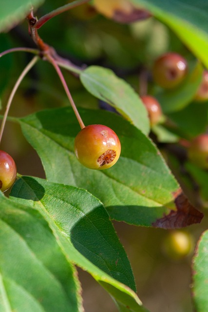 当压力来袭 当压力来袭