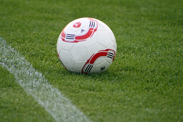 戴维斯展现 戴维斯展现