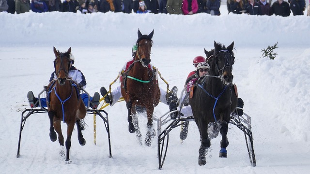 转型发展 转型发展