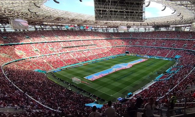 的精心描绘 的精心描绘