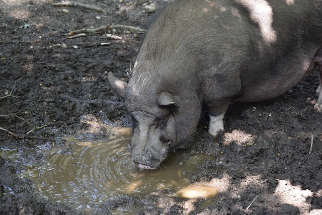 更为均衡 更为均衡