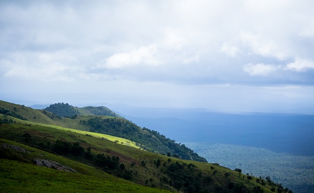 从基层训练 从基层训练