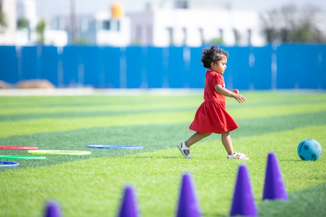 職業球員並 職業球員並