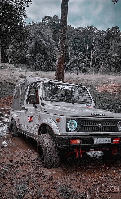 体开始提及 体开始提及