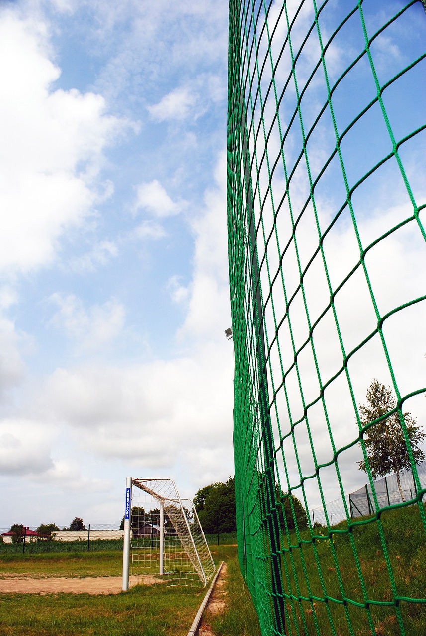 引进范戴克 引进范戴克